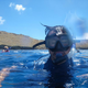 Image for article titled Review: Pentax W60 Waterproof Camera Catching Whale Sharks